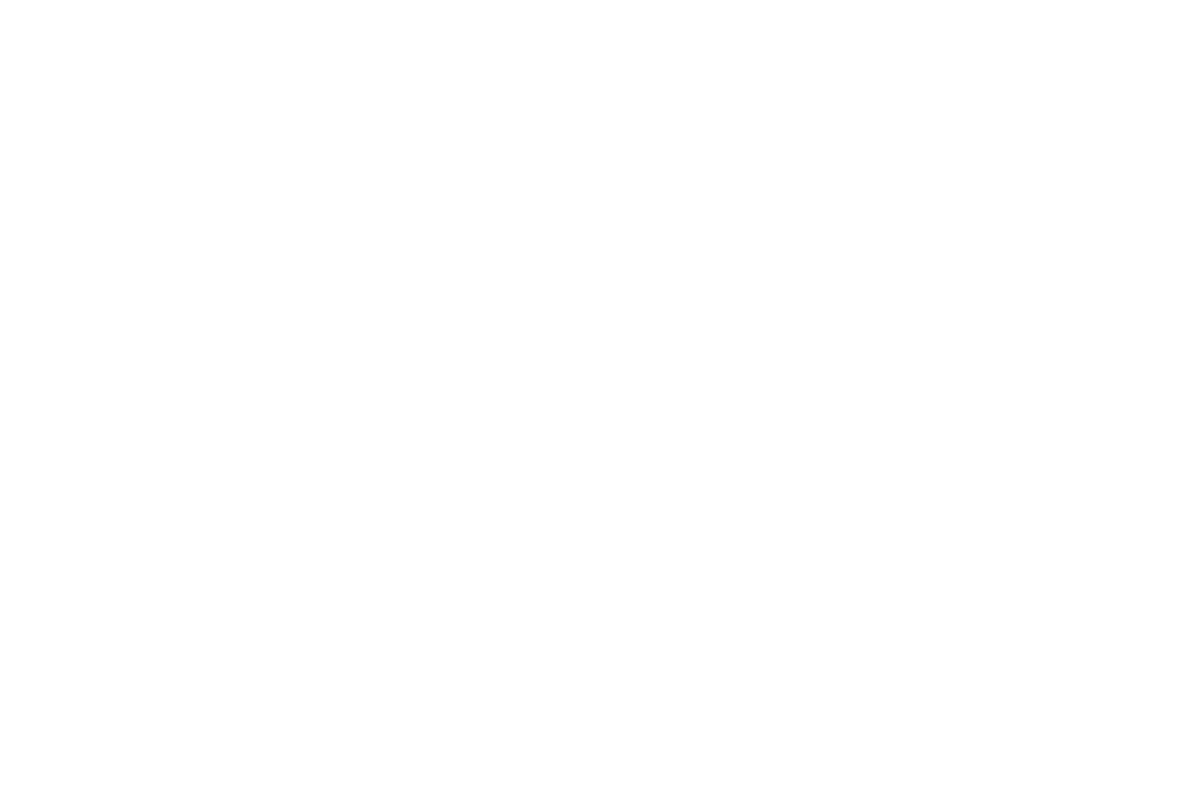 OFFICIAL SELECTION Quarter-Finalist - Outstanding Screenplays Feature Competition - 2025 (2)